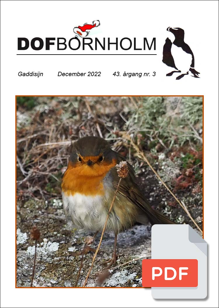 medlemsblad dec2022